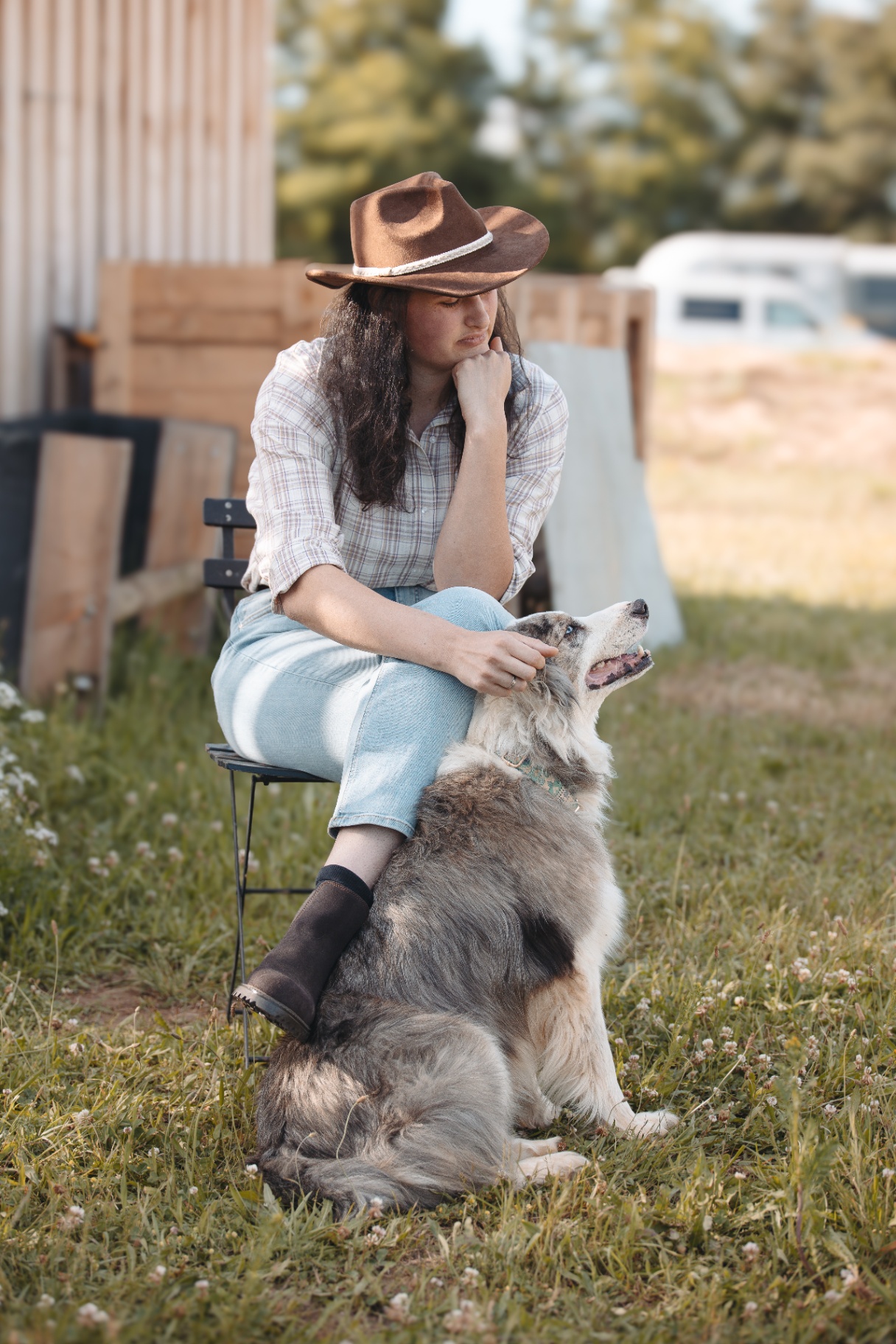 Healing Journey with our Animals