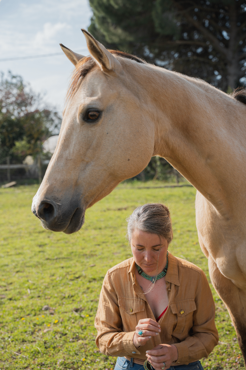 Portrait de cheval