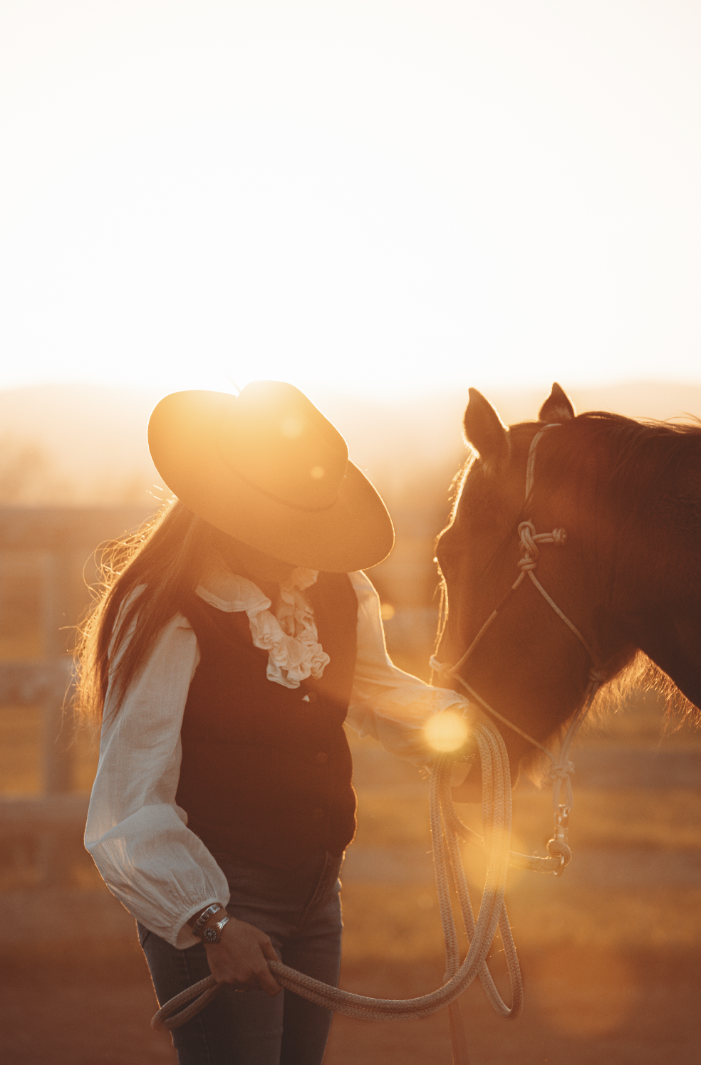 Rencontre entre une cavalière et son cheval à contre-jour